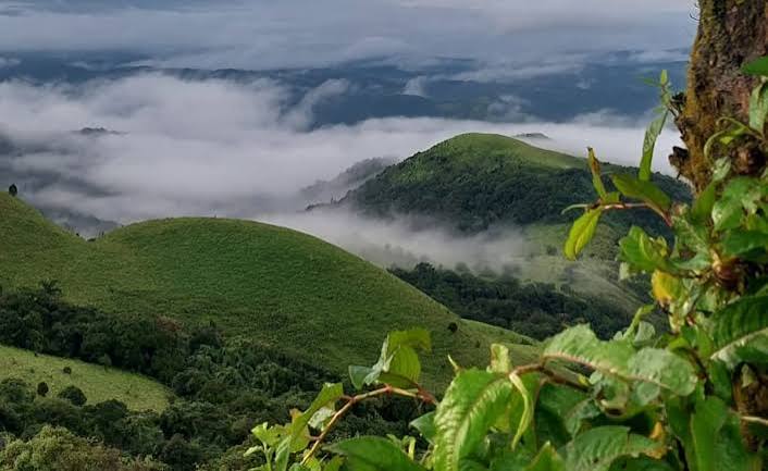 Coorg